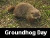 Groundhog Day