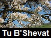 Tu BShevat